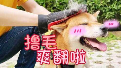 撸撸干撸撸草的生活妙招，轻松解决烦恼，享受舒适时光