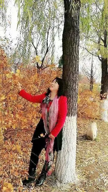 欧美激情老妇人浜演绎经典风韵，重温黄金年代，感受岁月沉淀的魅力