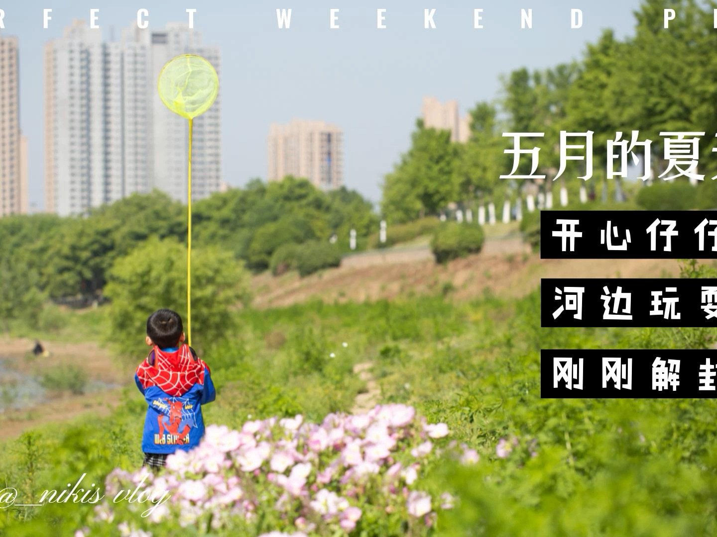 开心五月六月婷婷在线绽放夏日精彩，快乐时光，幸福相伴每一天