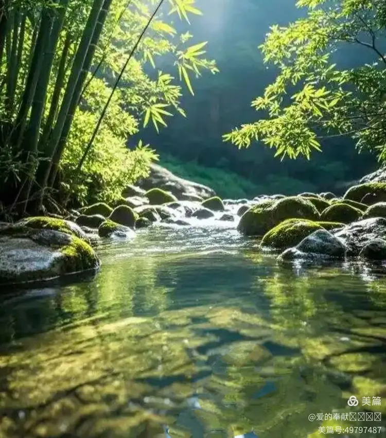 开小嫩苞尝高清HD浜，感受自然清新之美，体验视觉盛宴，品味独特风味