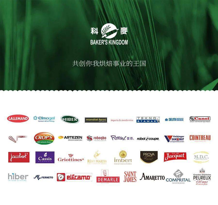 JXxCC官方网站全新上线，探索精彩内容，畅享优质服务，尽在JXxCC官方网站