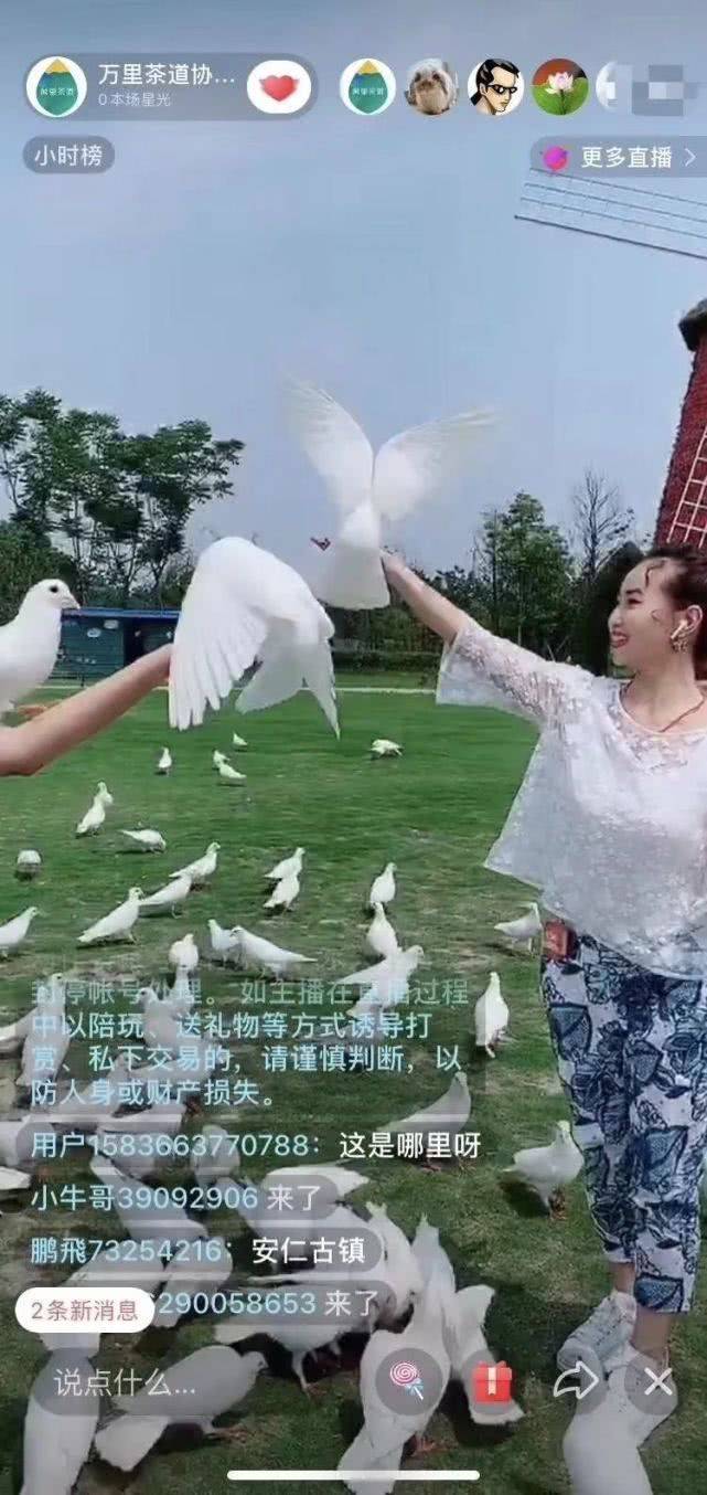 婷婷久久中文陪伴你探索中华文化的深厚魅力，感受传统与现代的交融，体验语言学习的乐趣