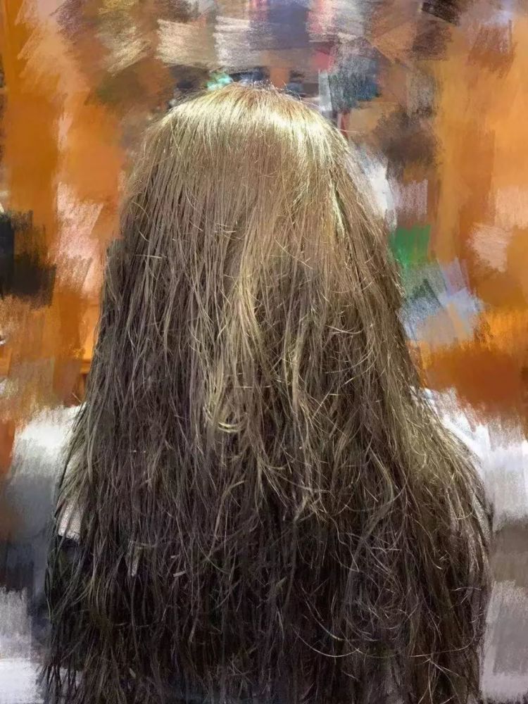 免费毛长护理妙招，轻松打理，告别毛躁，秀发柔顺有光泽