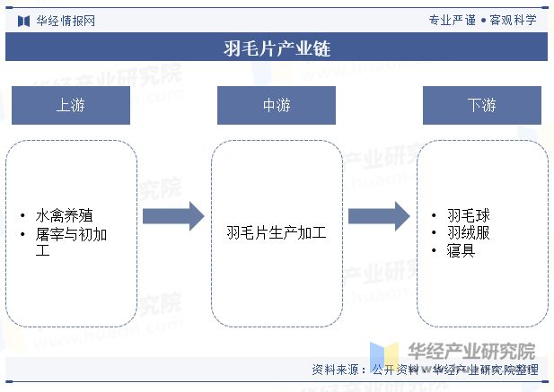 1.国产毛片40年发展历程与现状分析