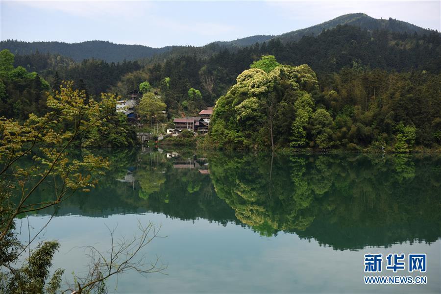 2.色香五月花开满园芬芳四溢,春意盎然美景如画,踏青赏花正当时