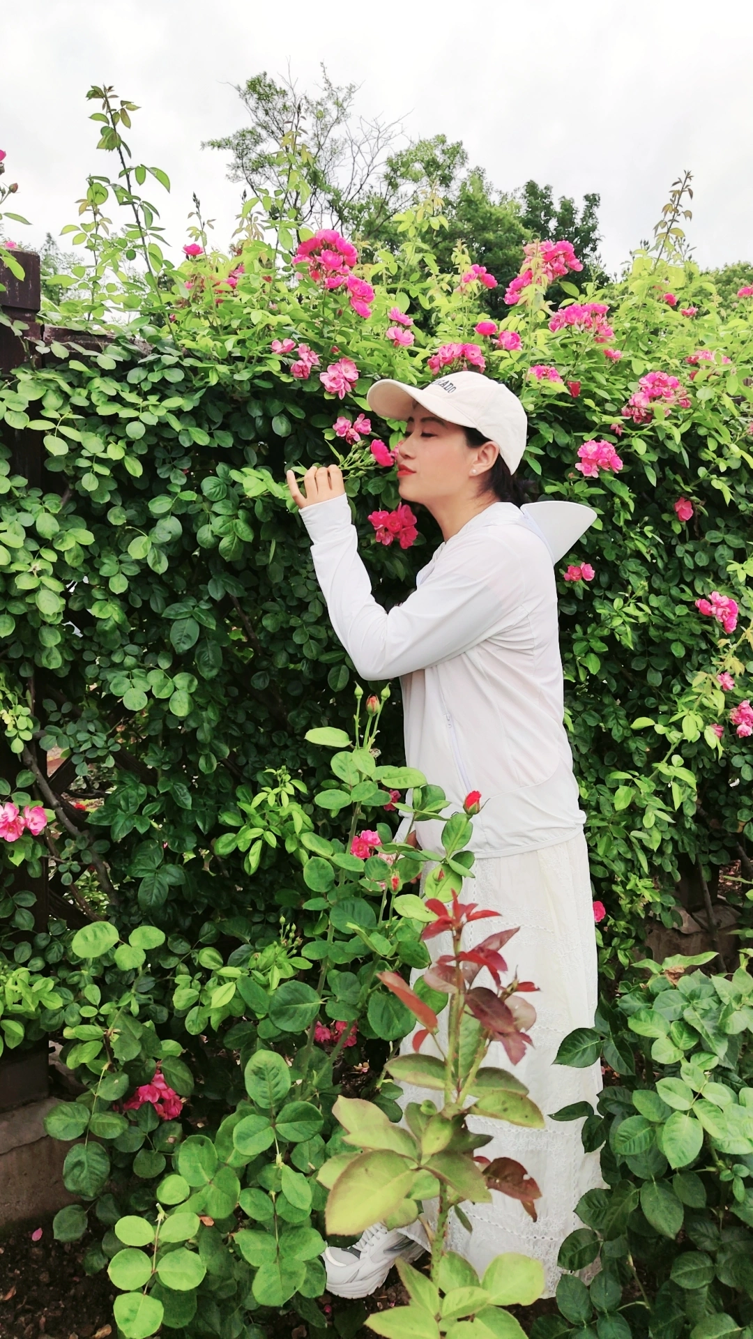 好日日操坚持锻炼提升健康活力，打造完美体态，享受快乐生活每一天