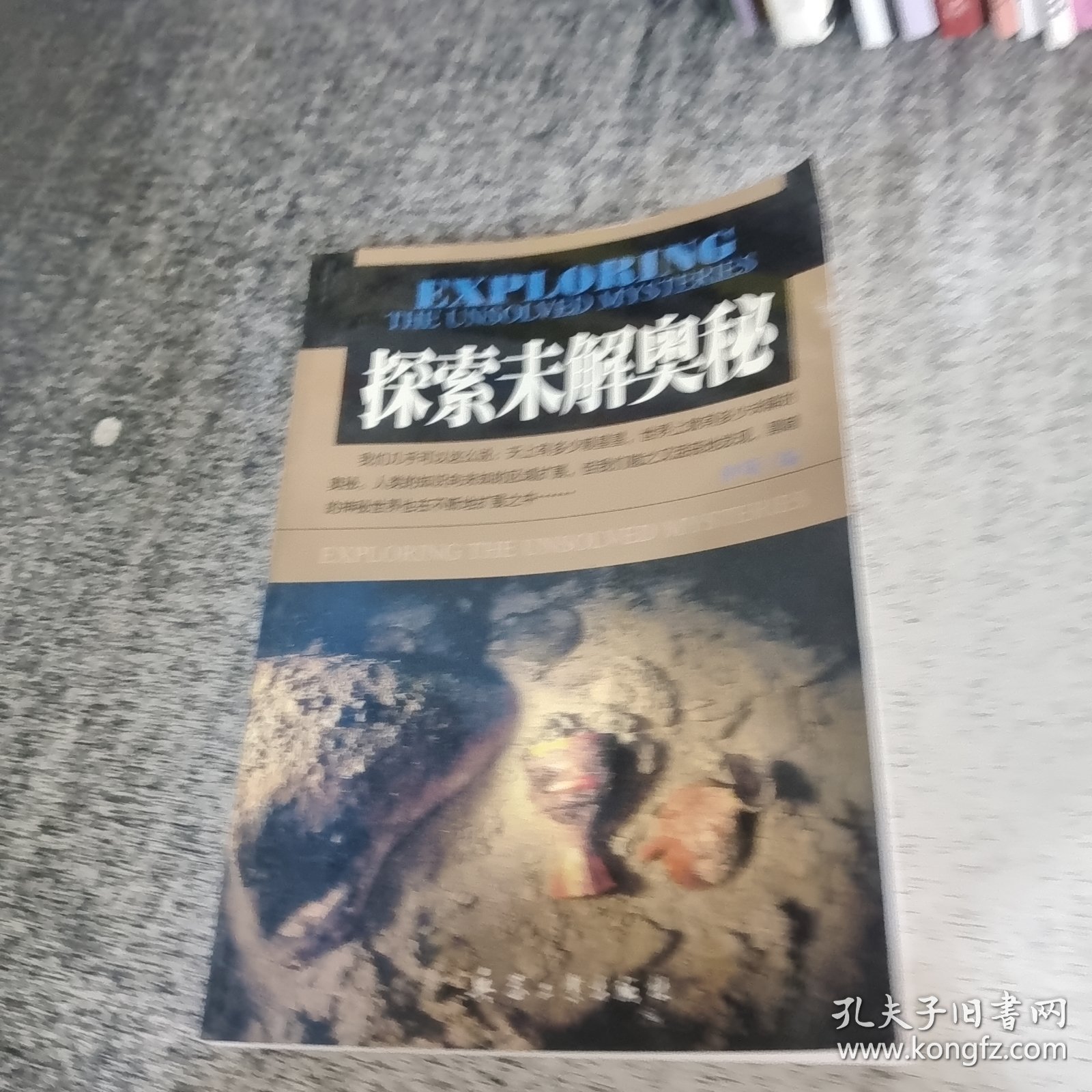 国产一级人与嘼浜探索全新领域，揭秘独特生态，发现未知奥秘