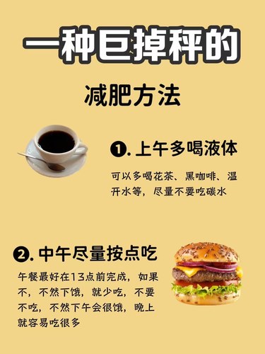 "百度日本肥妇健康饮食指南，减重秘诀，生活调理技巧分享"