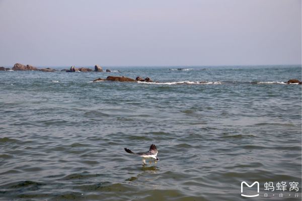 日本xxnxx浜风情探秘，漫步海岸线，感受独特文化与自然美景