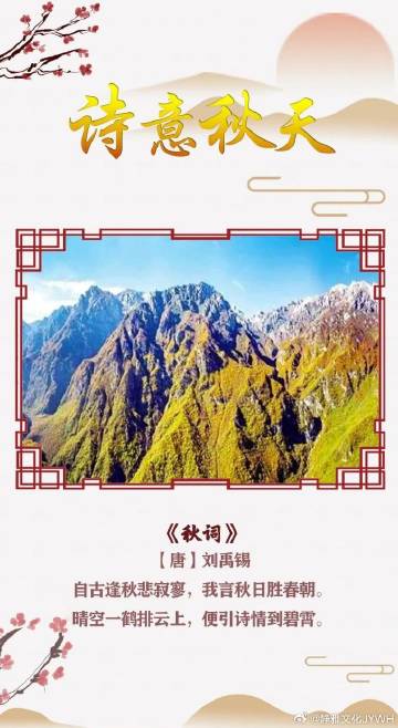 六月丁香芬芳绽放，中文诗意季节，花香满园惹人醉，夏日浪漫风情