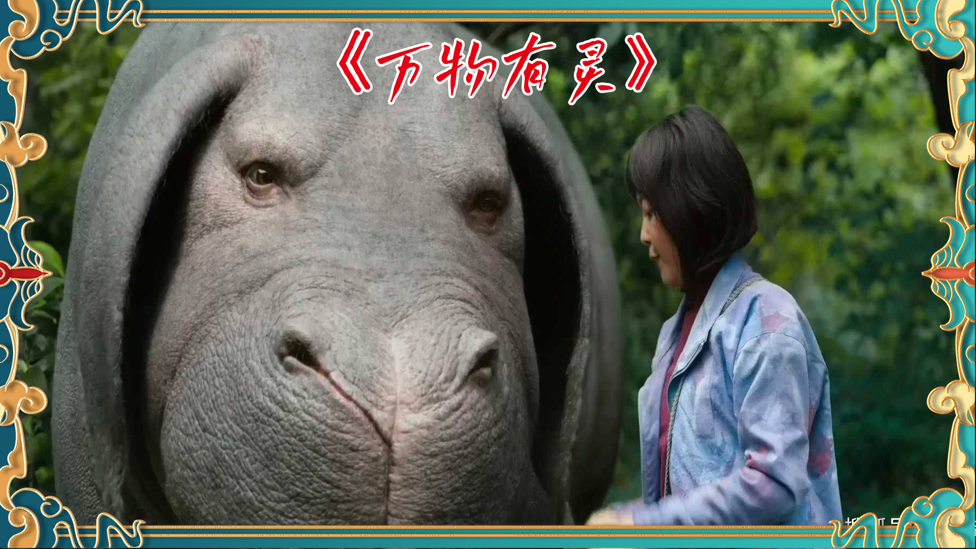 黄色猪和女孩的奇妙冒险，探索神秘森林，寻找失落的宝藏，开启奇幻之旅