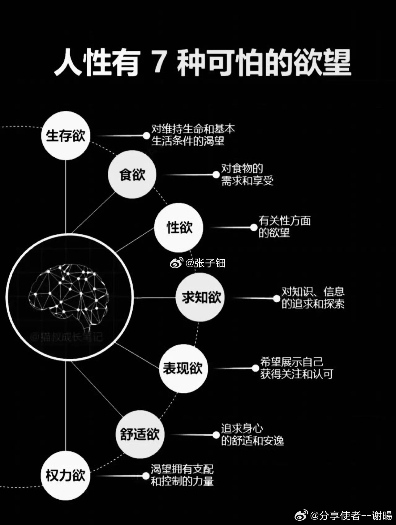 "人与禽A片啪啪浜,激情碰撞,禁忌之恋引发热议,探索人性与欲望边界"