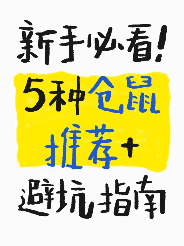 4.大雷擦狙狙官网入口，新手必看，技巧分享，快速入门