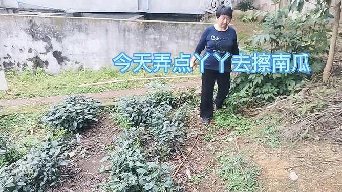 2.贵州农村女人毛片全黄真实经历，隐秘拍摄，乡村生活记录