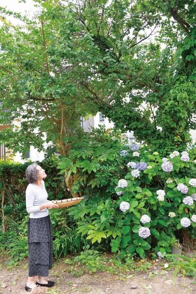 乡村熟妇浜的田园生活日常，乡村熟妇浜的温馨故事，乡村熟妇浜的朴实岁月