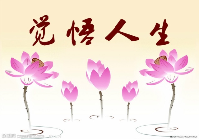 老太太czwww的晚年生活充满智慧与温暖，分享快乐，传递幸福，感悟人生真谛