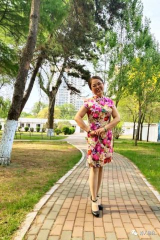 丁香伊人婷婷绽放优雅芬芳，魅力动人，气质如诗如画