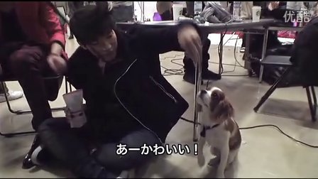日本泡妞XXXⅩXXXWWW免费看浜,掌握恋爱技巧轻松脱单,最新约会攻略大公开 日本泡妞XXXⅩXXXWWW免费看浜,掌握恋爱技巧轻松脱单,最新约会攻略大公开