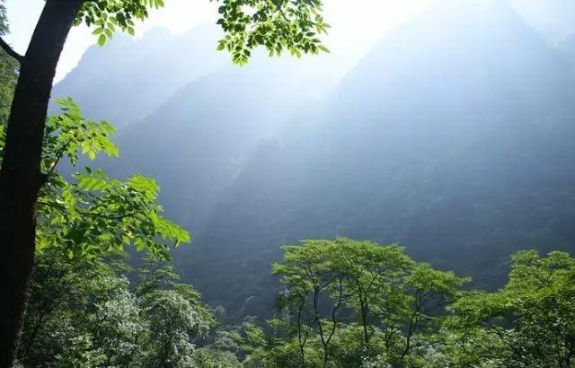 2.动物交缠美女AV,狂野魅力,原始激情,令人心跳加速的视觉盛宴