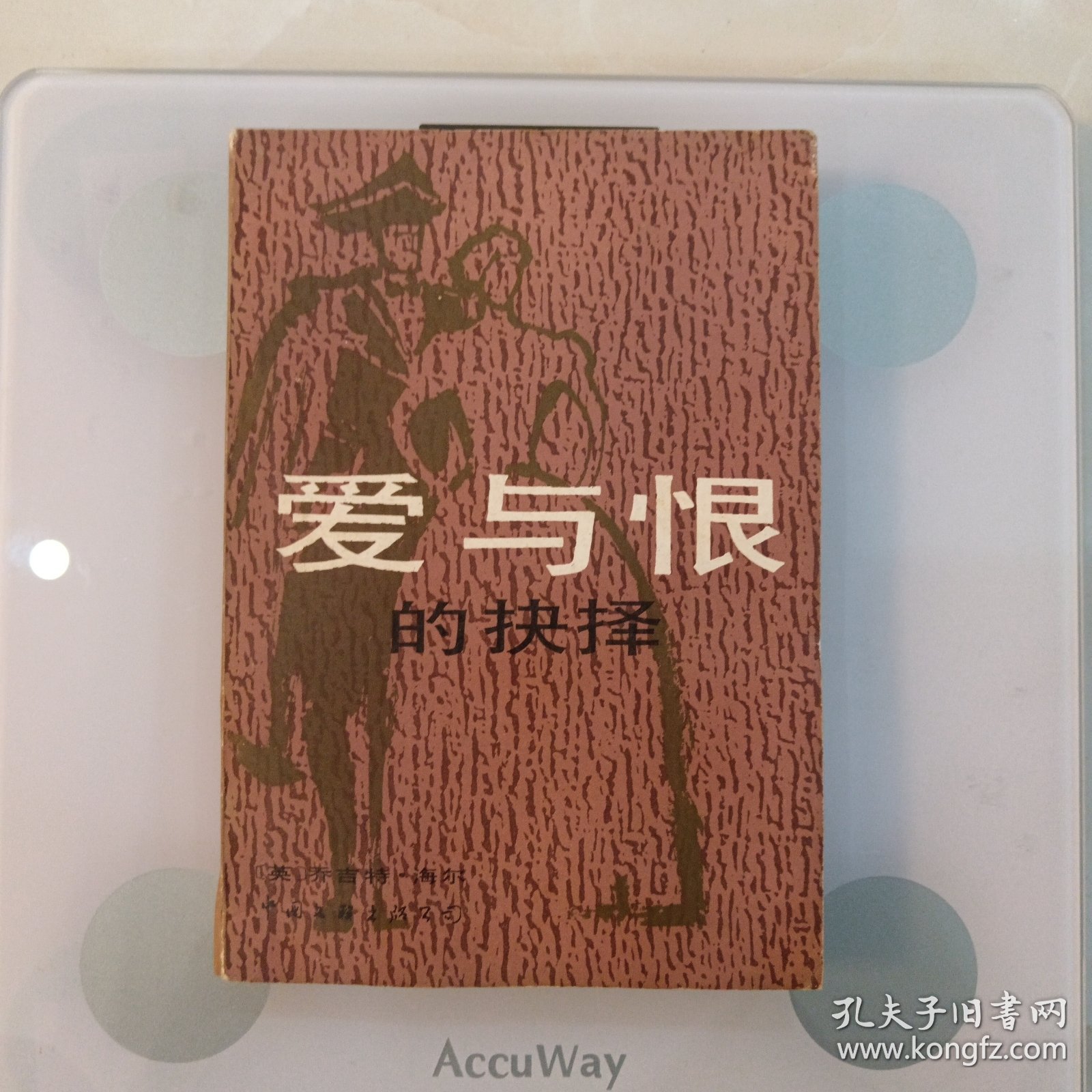 "女人与公人强伦轩浜，情感纠葛交织，命运抉择考验人性，爱与恨的终极较量"
