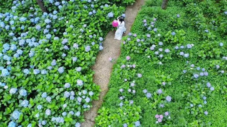 激情婷婷五月基地绽放夏日热情，探索五月秘密花园，发现激情与自然的完美融合