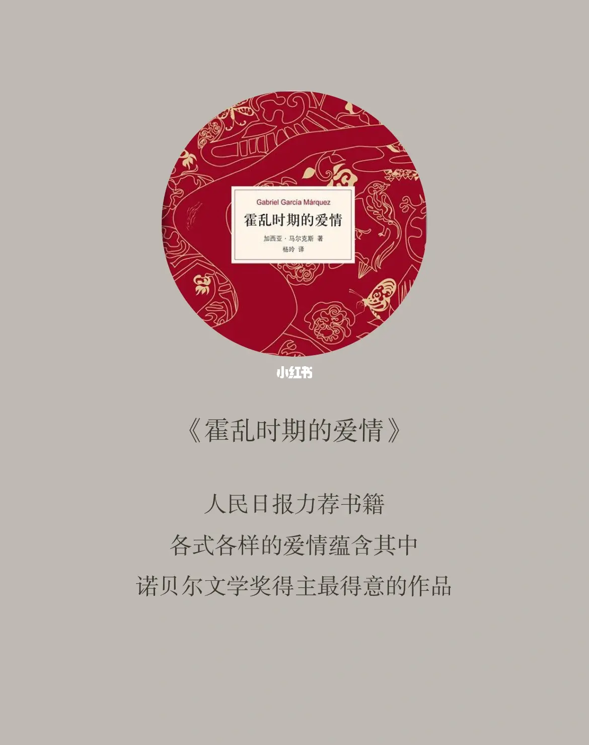 王涛爱丝索菲与老外邂逅异国浪漫，跨越文化的爱情故事，真挚情感打动人心