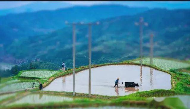AISS爱丝福利写真视频浜，绝美画面惊艳呈现，独家收藏不容错过，高清画质极致享受