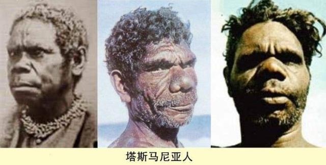 欧美黑人与非洲黑人文化差异与历史渊源，探索身份认同，社会影响与现代发展