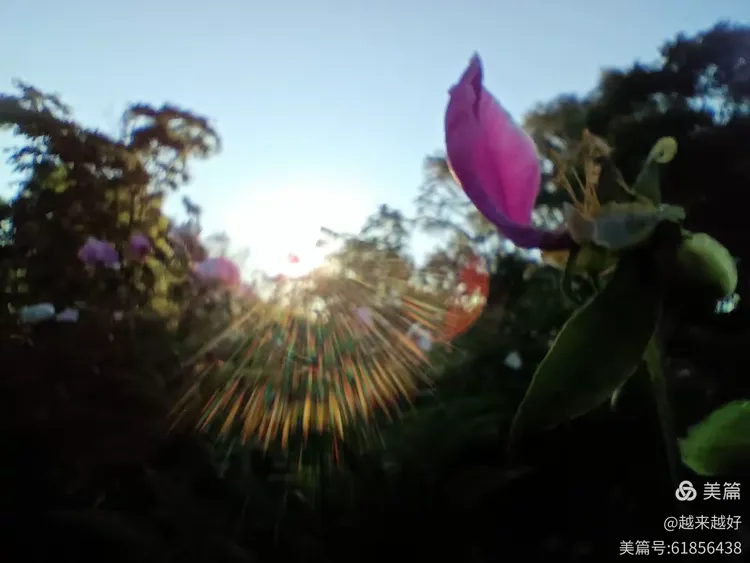 2.胡秀英野外激情，勇敢追梦，挑战极限，绽放生命光芒