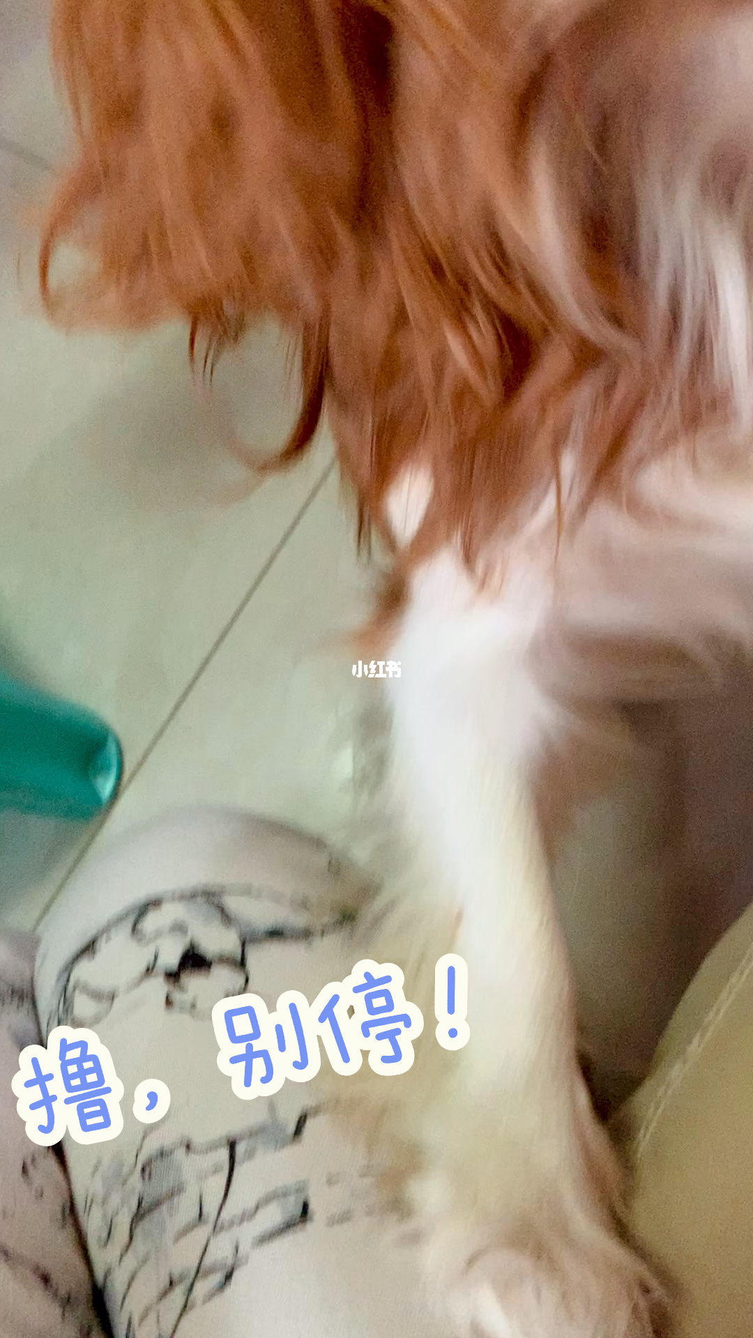 撸撸干撸撸草的乐趣与技巧,掌握正确方法,享受健康生活,避免误区 撸撸干撸撸草的乐趣与技巧,掌握正确方法,享受健康生活,避免误区