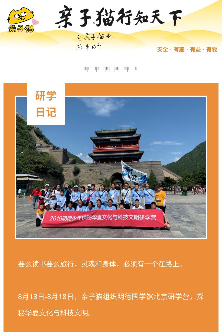 中国功夫震撼世界，传统武术魅力无限，探索中华文化精髓