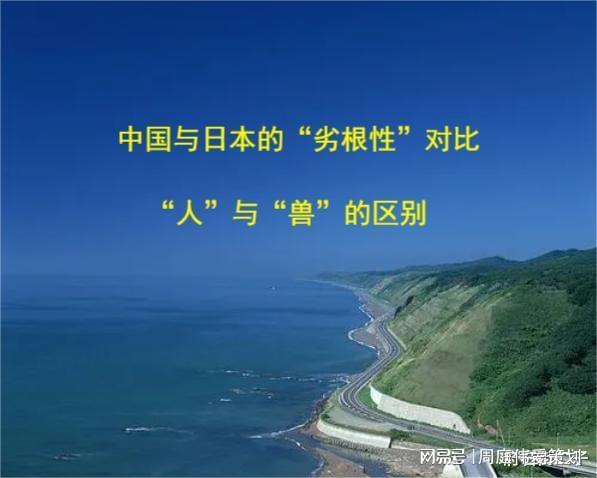 2.人与兽性交欧美法律现状,伦理争议,社会影响深度解析