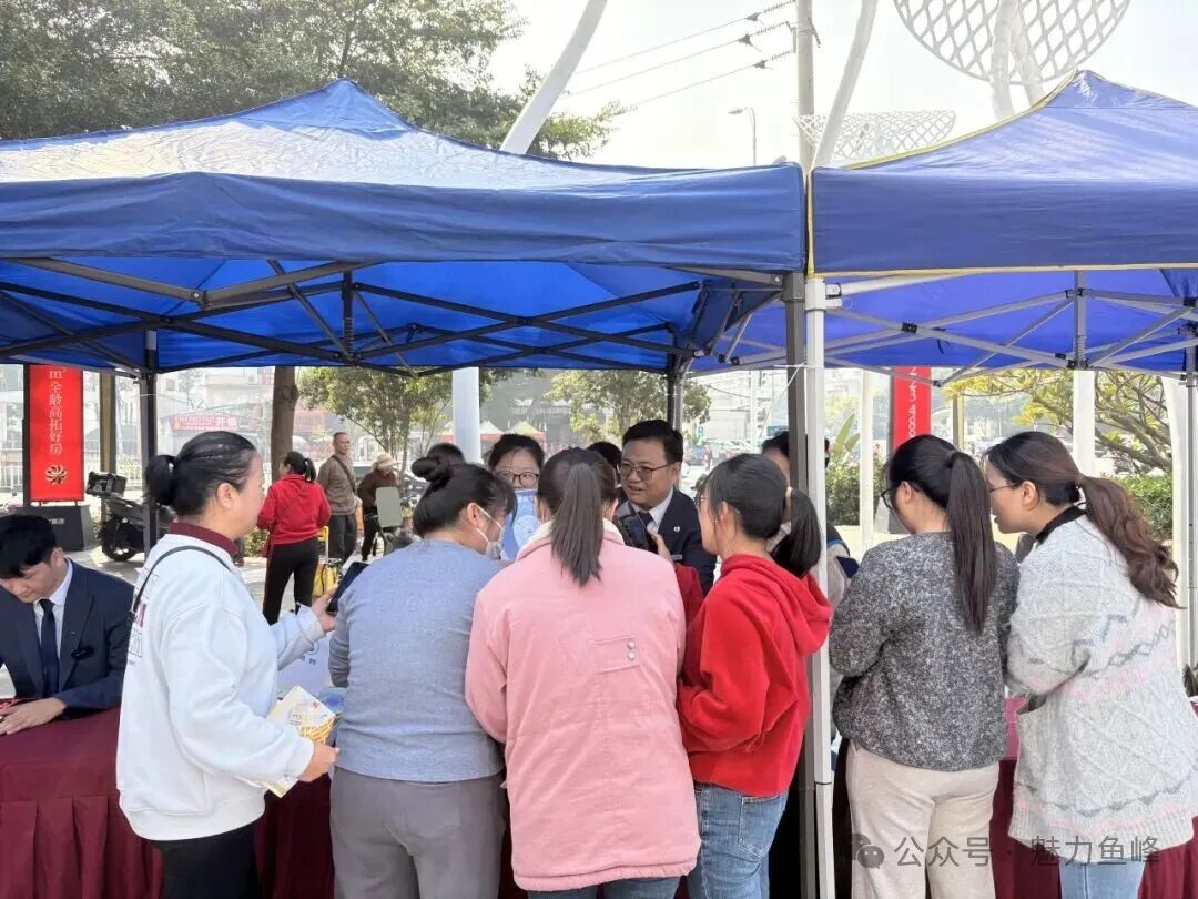 柳州鱼峰歌圩最新动态，传统与现代交融，展现文化魅力