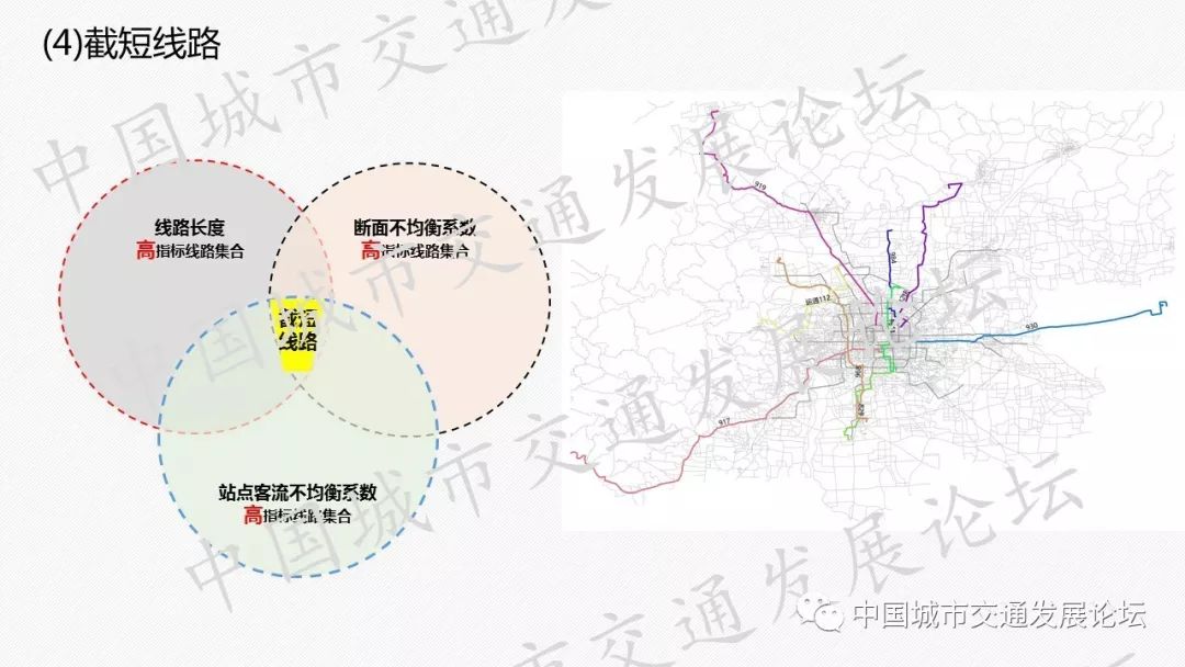 公交车挺进妺妺的小泬浜引发热议，市民热议安全与便利，专家建议优化路线规划