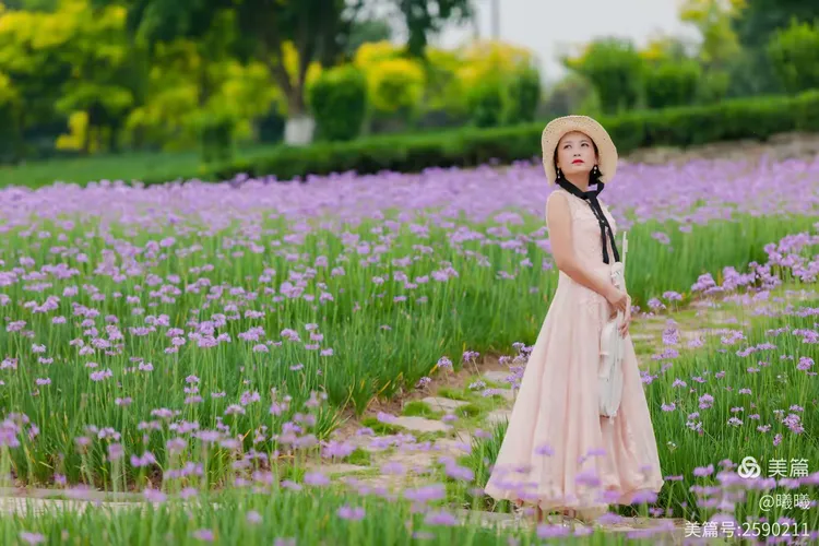 五月丁香六月婷AV绽放芬芳,夏日浪漫花季,赏花打卡胜地等你来 五月丁香六月婷AV绽放芬芳,夏日浪漫花季,赏花打卡胜地等你来