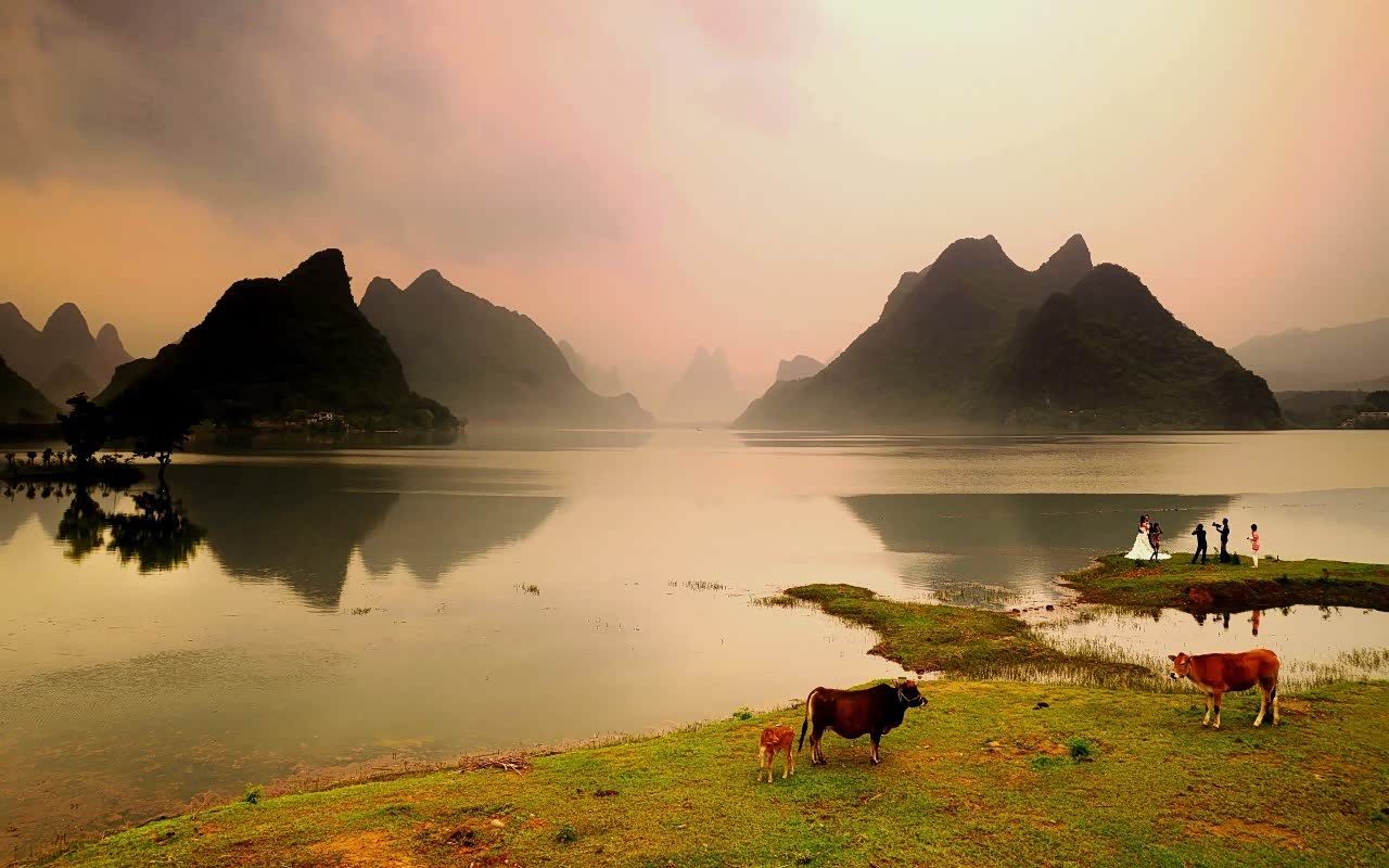 青青草avse春意盎然花开满园，微风轻拂绿意无边，自然美景尽收眼底