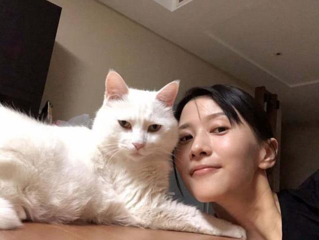 动物操人妻引发热议，探讨伦理边界，关注动物保护与人性反思