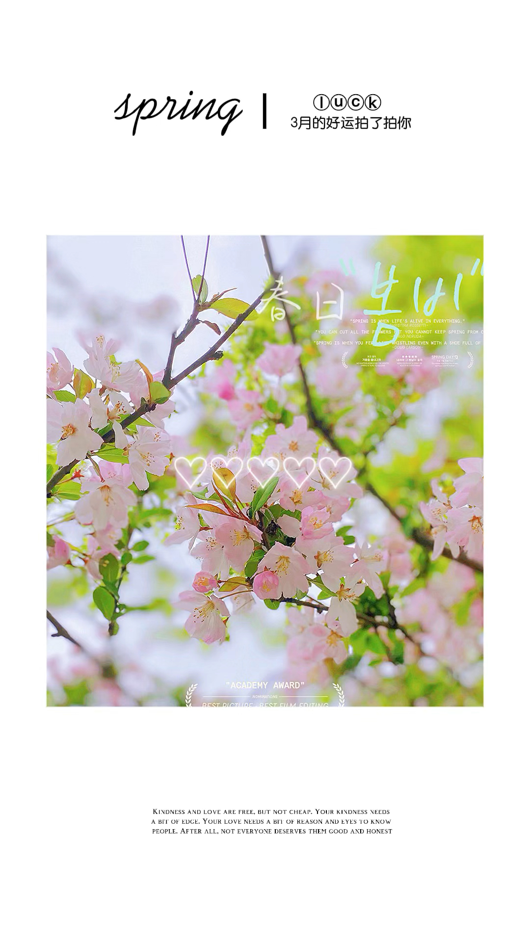 五月丁香综合网绽放芬芳，探寻春日浪漫，邂逅最美丁香花海
