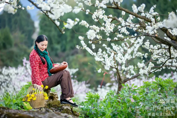 2.依人青青草，岁月静好，时光温柔，记忆芬芳