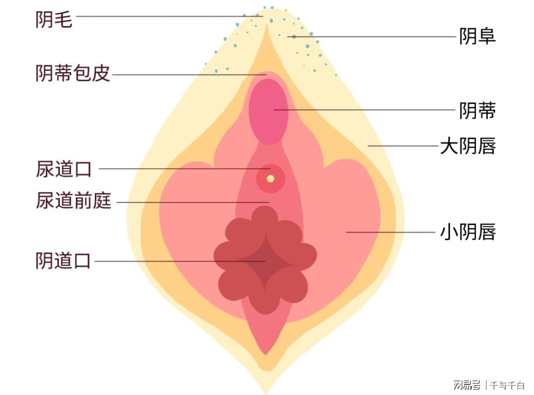 1.大荫蒂女人毛多高潮的性福奥秘
