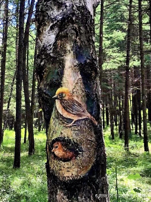 蓬莱山裸体写真集浜，绝美仙境，艺术与自然完美融合，震撼视觉盛宴