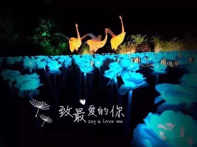 黄大片浜震撼上线全网独播，年度必看视觉盛宴，激情与艺术的完美碰撞