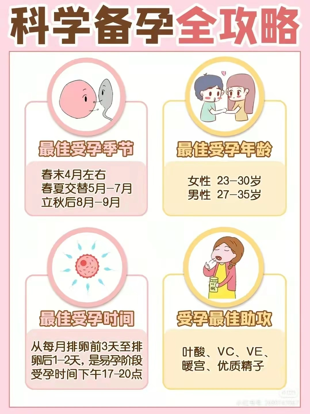 亚洲孕交探索孕期健康与胎儿发育的奥秘，科学备孕，安心待产