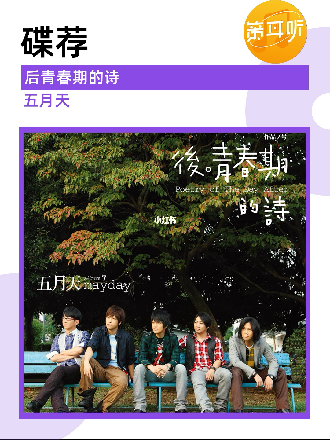 婷婷丁香五月天中文字幕17绽放青春芬芳五月天音乐与丁香花的浪漫邂逅