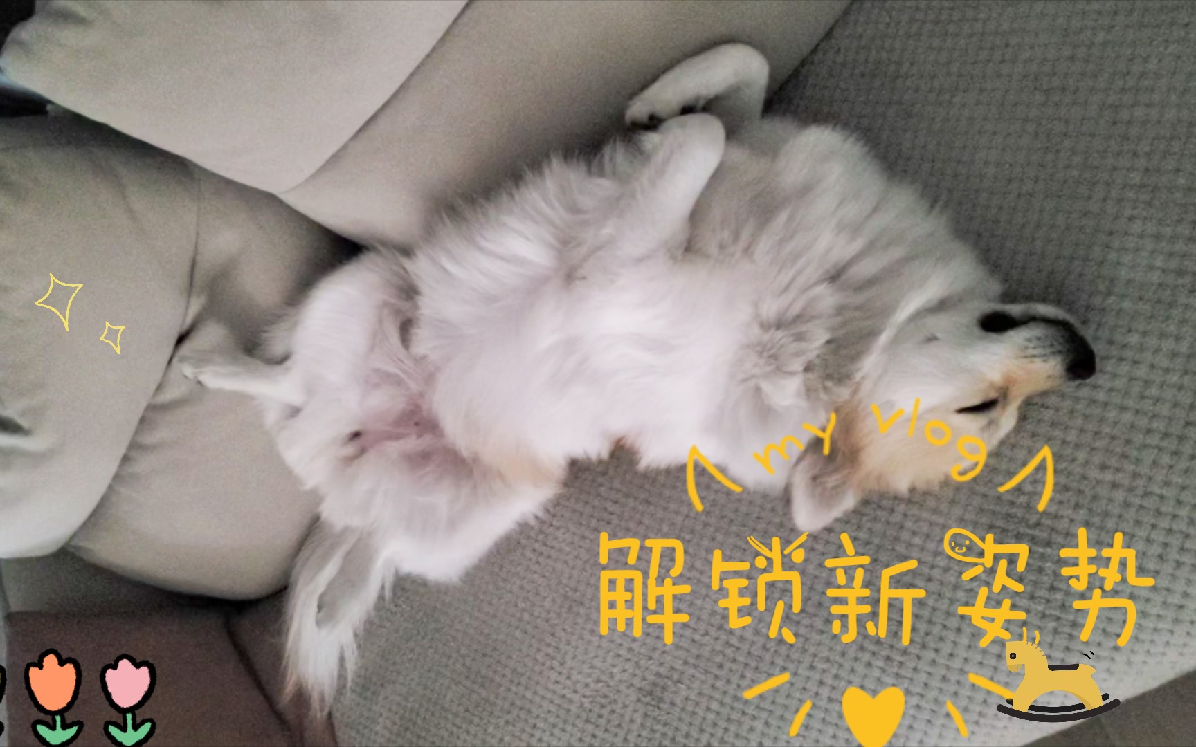 情侣做爱动态图分享，解锁新姿势技巧，提升亲密体验的秘诀