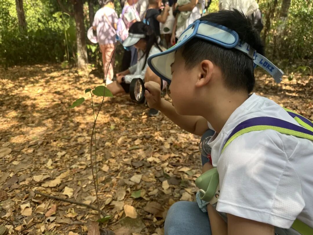 俄罗斯女人与禽动交精浜的奇妙联系，探索自然奥秘，揭秘独特生态关系