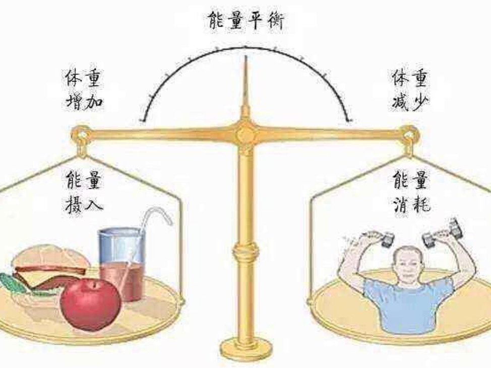 996工作制引发热议,探讨加班文化危害,如何平衡效率与健康 996工作制引发热议,探讨加班文化危害,如何平衡效率与健康
