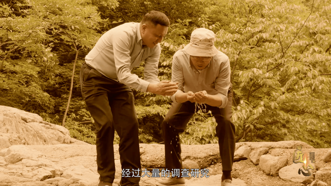 欧美老熟妇乱子伦故事，揭秘家庭隐秘关系，探讨伦理与欲望的边界，引人深思