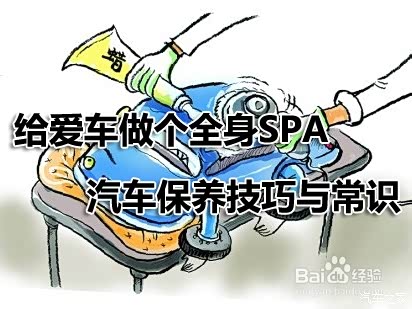 肉肉网站推荐优质多肉植物，养护技巧，品种大全，新手必看指南