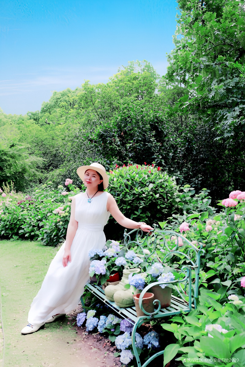 五月夜色婷婷丁香综合网绽放芬芳，初夏浪漫花园，醉人香气弥漫夜空